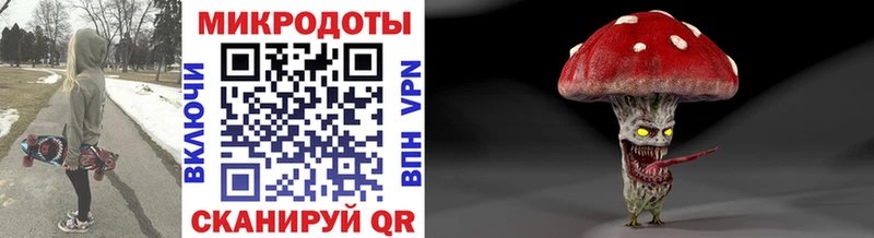 закладки  Можайск  Псилоцибиновые грибы мицелий 